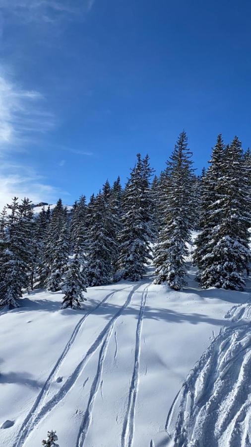 Alpinresort Kaprun 1 ภายนอก รูปภาพ